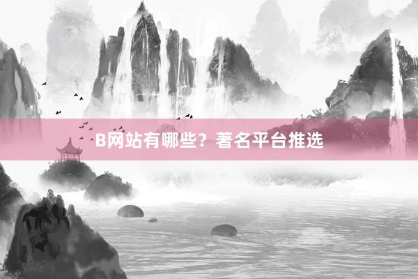B网站有哪些？著名平台推选