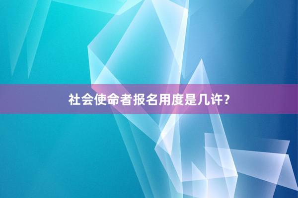 社会使命者报名用度是几许？